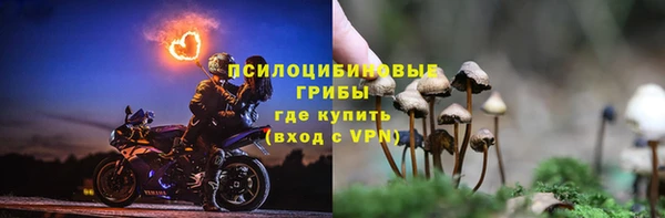 гидропоника Чекалин