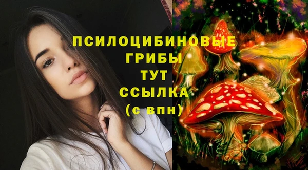 хмурый Чердынь