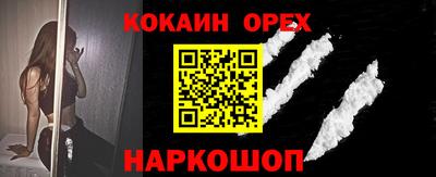 индика Гатчина