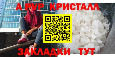 индика Гатчина