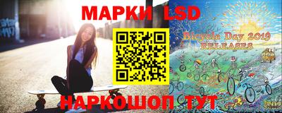 индика Гатчина