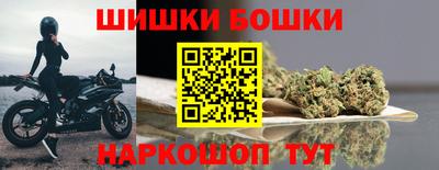 индика Гатчина