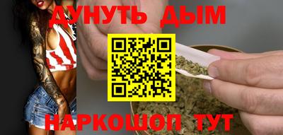 индика Гатчина