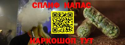 индика Гатчина
