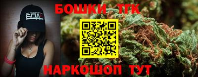 индика Гатчина