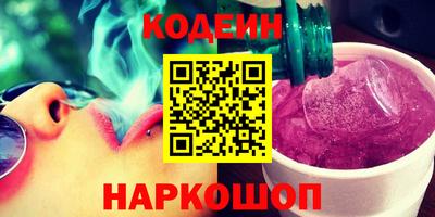 индика Гатчина