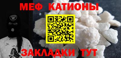 индика Гатчина