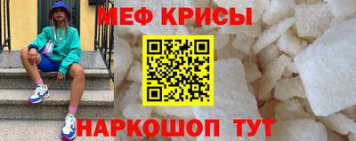 индика Гатчина