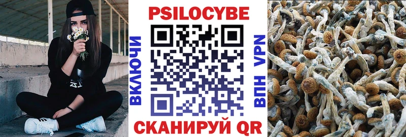 Псилоцибиновые грибы Cubensis  Златоуст 