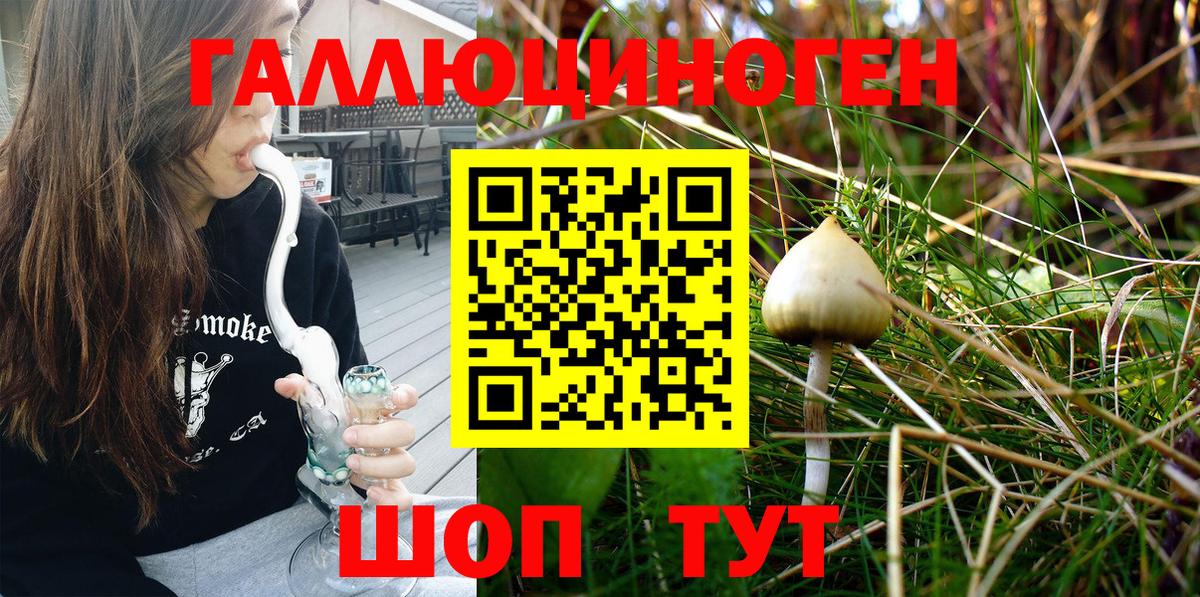 Галлюциногенные грибы MAGIC MUSHROOMS  Вход с VPN  Галлюциногенные грибы прущие грибы  Златоуст 